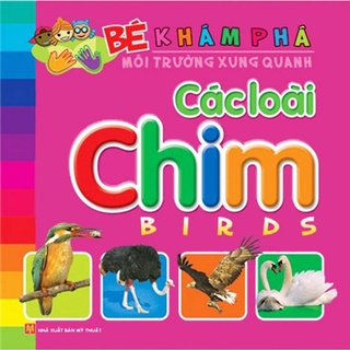 Sách: Bé Khám Phá Môi Trường Xung Quanh: Các Loài Chim
