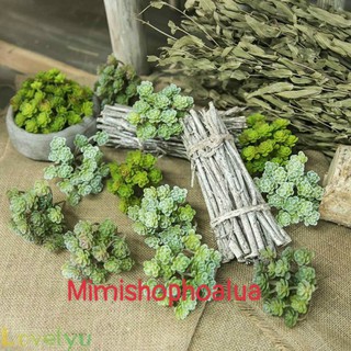 Sen đá giả nhiều nhánh - trang trí nhà cửa
