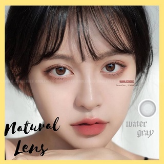 Lens Tự nhiên 0 độ kèm Khay dụng cụ đeo _ Qadlenses - Kính áp tròng dành cho mắt Water Gray
