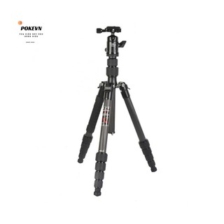 Tripod chuyên nghiệp Fotopro ProGear X-GO (E) FPH-42Q làm từ sợi Carbon có thể tải 8kg cao 1m44