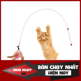 THANH LY CẦN CÂU CAO CẤP CHO THÚ CƯNG LẤY TƯƠNG TÁC