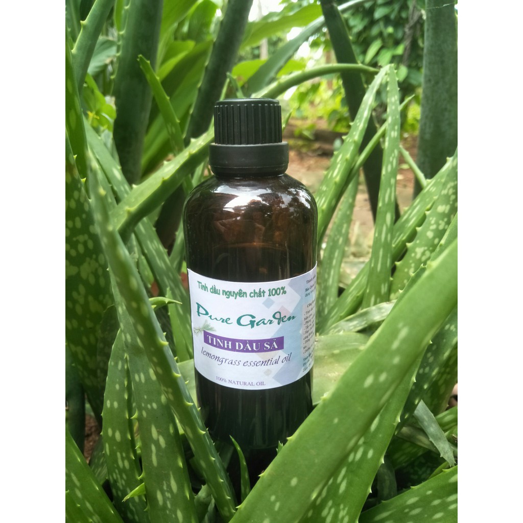 TINH DẦU SẢ JAVA NGUYÊN CHẤT 100ML
