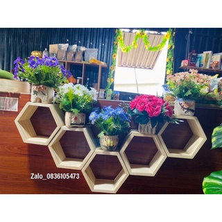kệ gỗ trang trí hình tổ ong cỡ lớn