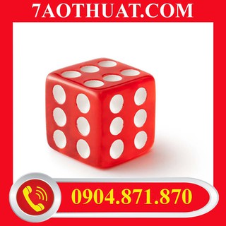 Đồ chơi ảo thuật : Xí ngầu lắc ( 1 viên ) + video hướng dẫn miễn phí