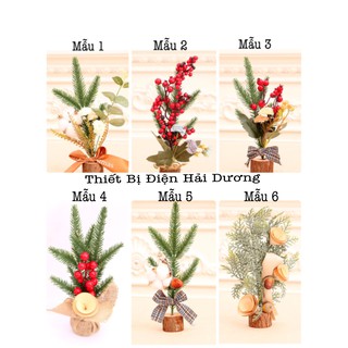 Cây thông Noel mini size nhỏ để bàn văn phòng trang trí Giáng sinh NE-2513 - 20cm - 6 Mẫu