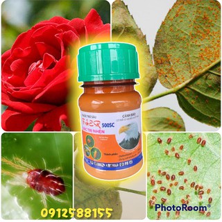 Đặc Trị Nhện - Fier Đại Bàng Đầu Trắng 500SC - VTNN Bắc Từ Liêm