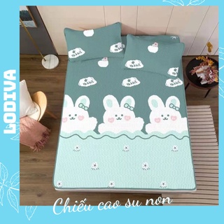 Chiếu cao su non - ngủ ngon mỗi ngày, có đủ 2 kích thước chuẩn, màu sắc đa dạng mã LODIVA CS01