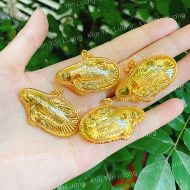 🎀 Cá Vàng May Mắn Chùa Wattraimit Thái Lan 🎀