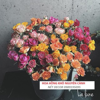 Hoa Khô Rose - Hoa Hồng khô nguyên cành - Hoa khô decor - Hoa Hồng khô vintage