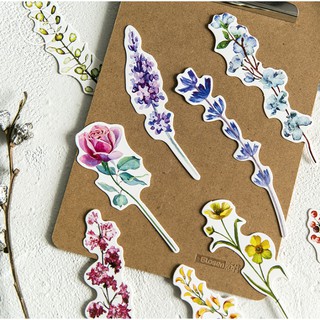 Hộp 30 Đánh Dấu Sách Bookmark Quà Tặng Hoa