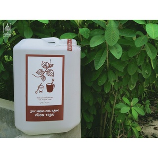 Can trầu không 5l Vietherb súc miệng, đánh răng, sát khuẩn