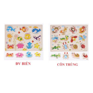 Bảng núm bằng gỗ nhiều chủ đề - Bảng gỗ giúp bé phát triển trí tuệ tăng khả năng nhận biết cho bé - Tamankids