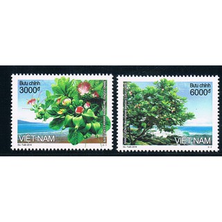 Tem sưu tập MS 1066 Tem Việt Nam Bàng vuông 2016 ( 2 tem )