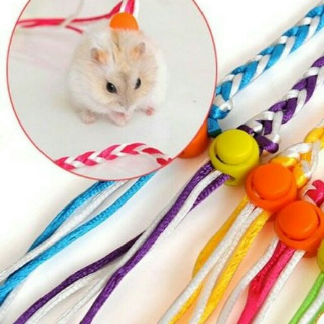 Dây dắt hamster