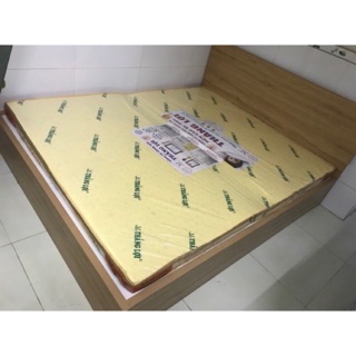 Nệm cao su Thắng Lợi 10p
