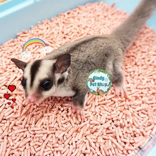 Cát đậu nành tofu lót chuồng cho Hamster, Sóc Bay Úc, Sóc Bông, Thỏ, Bọ, Chó, Mèo...
