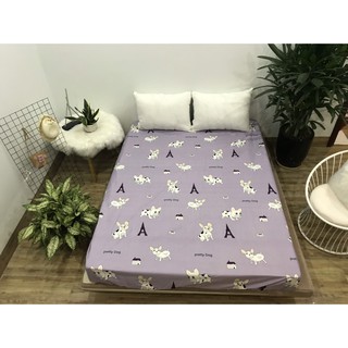 Ga Chống Thấm Cotton Hàn Quốc Chó Buldog CTT18