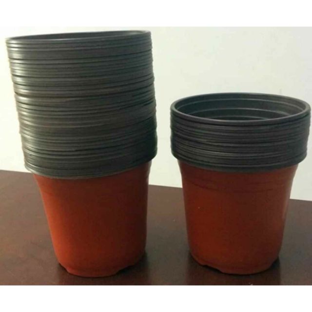 Combo 10 chậu ươm cây 10cm