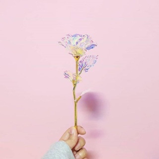 Cành hoa hologram trang trí chụp ảnh