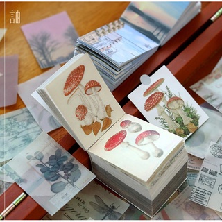 Giấy nền Set 400 tấm cực nhiều mẫu và màu sắc Be Tiny Stationery