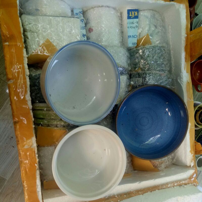 Combo chậu trồng sen đá Ring