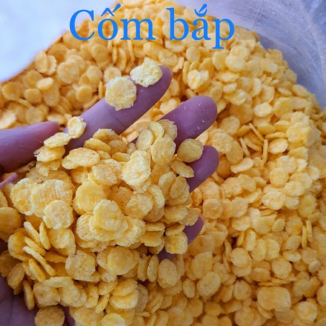 Cốm bắp hamster