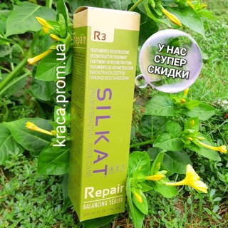 NHŨ TƯƠNG GIÚP CÂN BẰNG TĂNG CƯỜNG VÀ TẠO MẪU TÓC BES HERGEN SILKY REPAIR R3