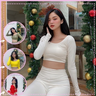 Bộ Đồ Tập Gym Nữ Thu Đông Dài Tay, Đồ Tập Yoga,Set tập thun lạnh(Kèm video)