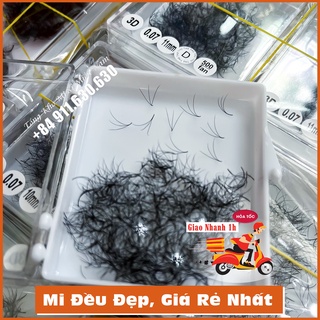 Mi Fan 3D- dày 0.07-cong C-CC-D - Hộp 500 Fan - Dụng cụ nối mi CHÍNH HÃNG - Tổng kho mi sỉ miền nam