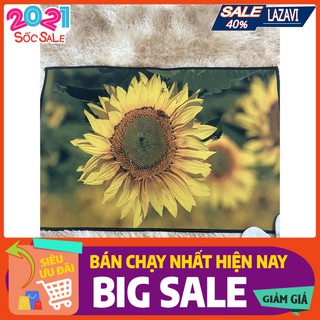 [Xả kho lỗ]Thảm lau chân 3D họa tiết,thảm trang trí-Mẫu TB104