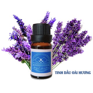 Tinh dầu oải hương nguyên chất làm thơm phòng dung tích 10ml