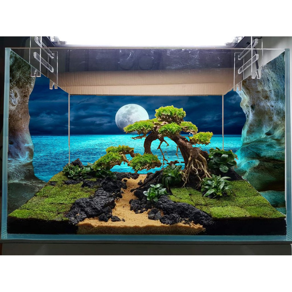 Tranh bể cá 3D