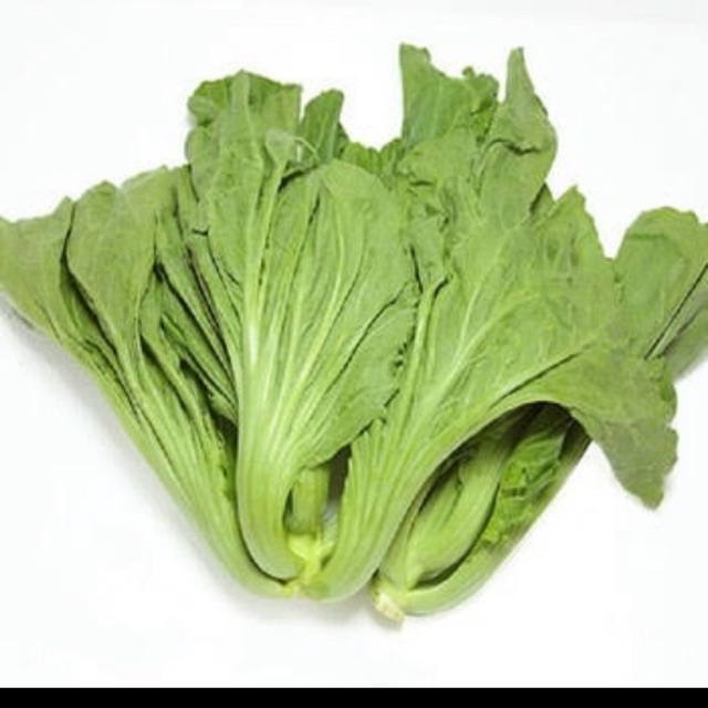 Hạt giống cải bẹ dưa