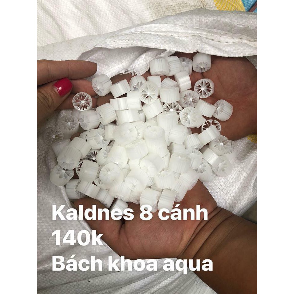 Hạt lọc Kaldnes