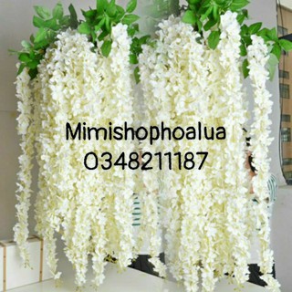 Cụm hoa rủ tử đằng dài 1met. 1 cụm 3 nhánh