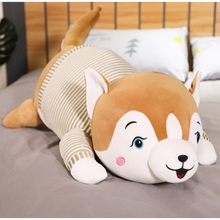 Gấu bông chó siba hot ( mẫu mặc áo- 40cm)