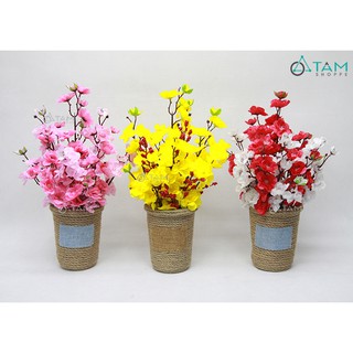 [ẢNH THẬT - HÀNG ĐẸP] Chậu hoa mai đào handmade dây thừng T-HOA-14