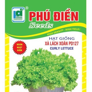 hạt giống Xà lách xoăn xanh