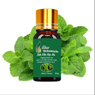Tinh Dầu Bạc Hà 10ml Nguyên chất 100% từ Thiên Nhiên. Hương Thơm Mát Mẻ.