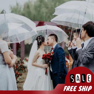 Ô TRONG SUỐT/ Ô ĐI MƯA CÁN DÀI CÓ TAY CẦM [Logo CATA]