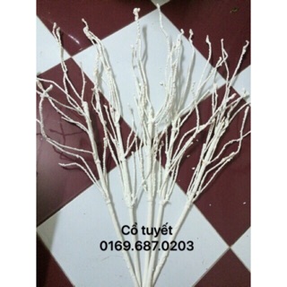 CÀNH TUYẾT DÀI 60cm