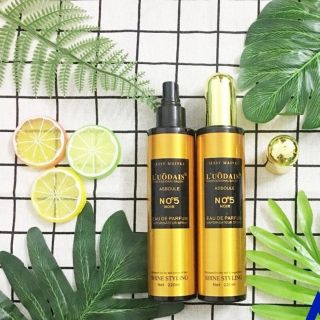 Xịt dưỡng tóc No5