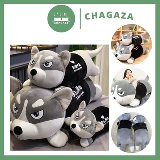 Gấu bông Chó Husky Siêu To Khổng Lồ - gối ôm chó ngáo size 1m1 - 1m5