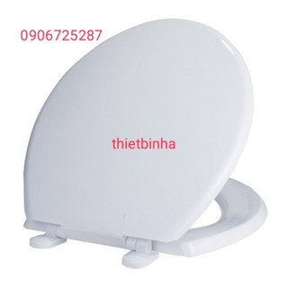 Nắp bồn cầu, nắp đậy bồn cầu Thiên Thanh 03