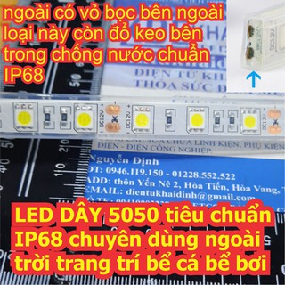 1 mét LED DÂY 5050 tiêu chuẩn IP68 chuyên dùng ngoài trời bể cá bể bơi màu trắng/vàng/7 màu kde2604