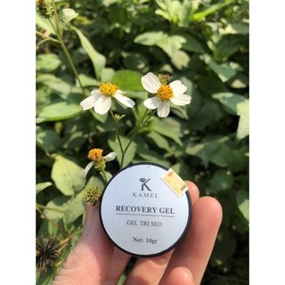 Gel Xóa Sẹo Thâm, Sẹo Lồi, Sẹo phì đại - Recovery Gel Kamel (Karmel)
