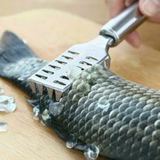 Dụng Cụ Lóc - Đánh Vảy Da Cá hình chữ nhật