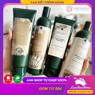 [Tặng Set mini] Dầu gội xả gừng Weilaiya ngăn ngừa rụng tóc, kích mọc tóc