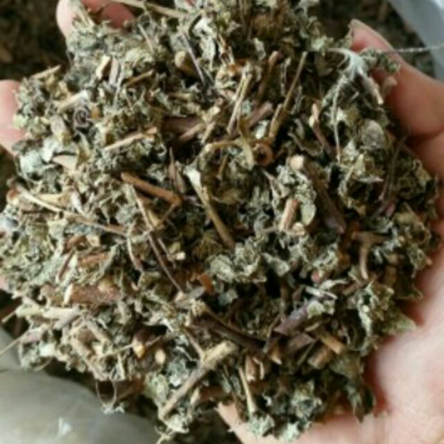 chè dây sâp 1kg