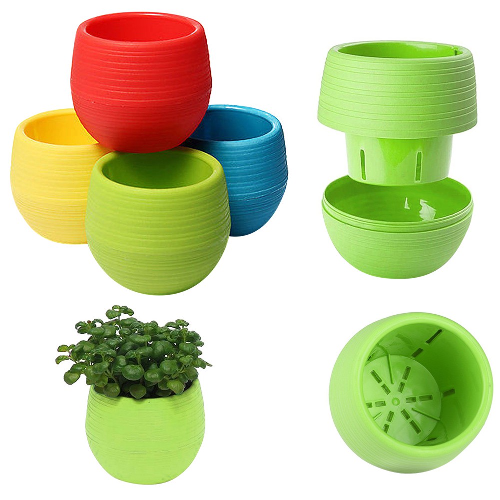 Chậu cây mini có đế hứng nước